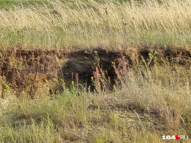 Где-то здесь мы нашли зуб акулы | Источник: Семен Коротов-Майбах / 164.RU