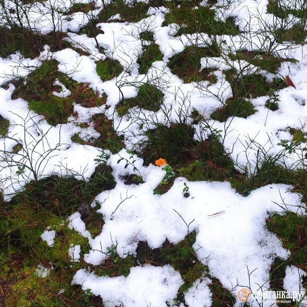 Источник: Сергей Елгазин