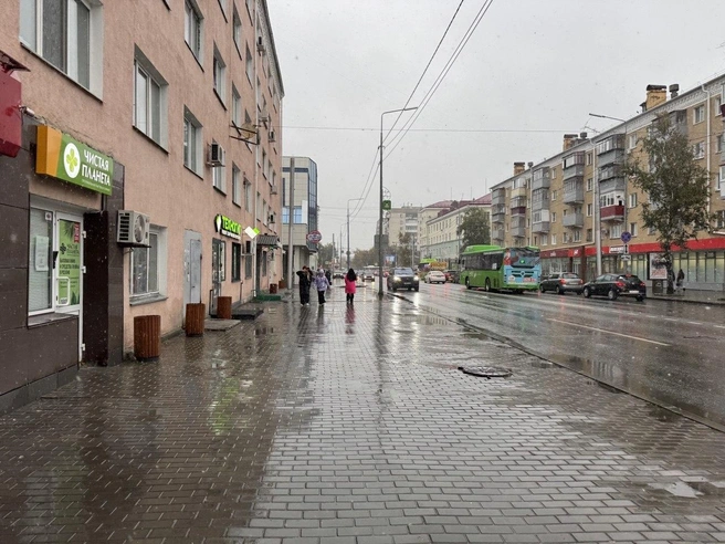 Снег тут же таял на городских улицах | Источник: Юлия Король / 45.RU 