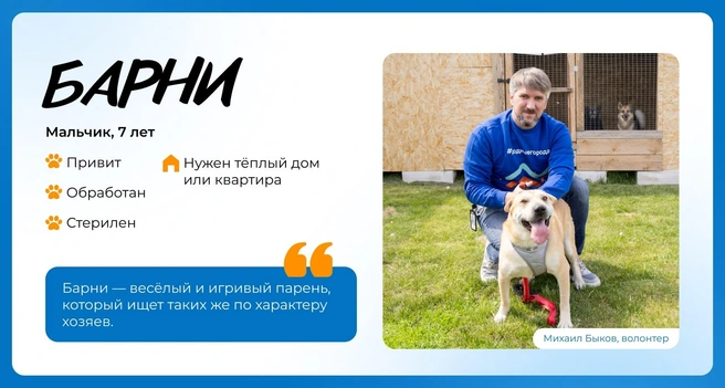 Источник: Василиса Молахова, Евгений Шаров