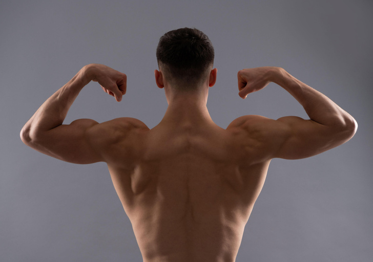 Какая мышца у человека самая сильная?