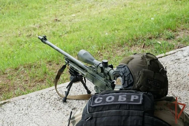 Источник: 43.rosguard.gov.ru
