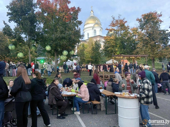 Источник: Ксения Потеева / FONTANKA.RU