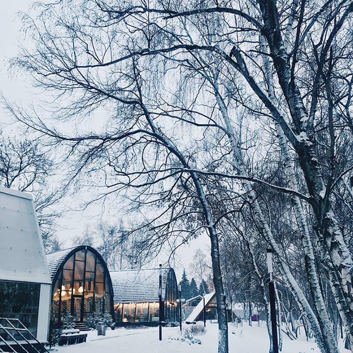 Новый год в городе: куда сходить с детьми (фото 5)