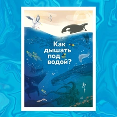 Тайны морских глубин и инструкция как дышать под водой: 7 книг для тех, кто не может жить без моря