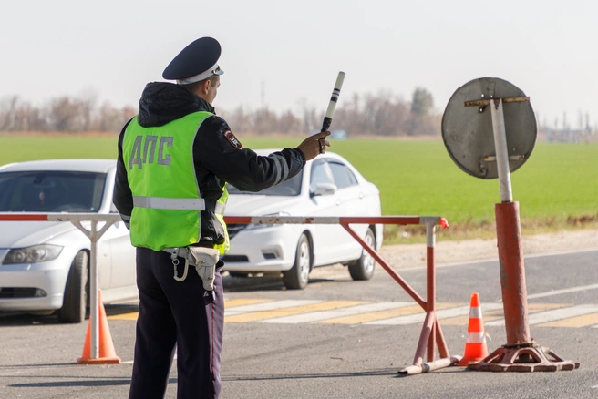 Под Петербургом остановили «Шкоду» после сообщения о преследовании и стрельбе | Источник: Алексей Волхонский / V1.RU