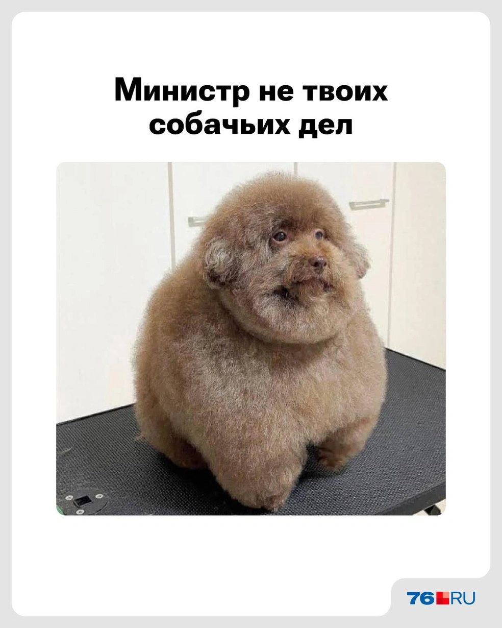 Серьезный парень! | Источник: Городские медиа