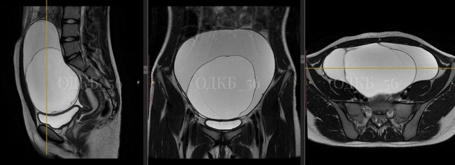 Источник: ОДКБ 56 (Юлия Шарифуллина) / t.me