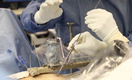 Операции на позвоночнике петербургские хирурги будут проводить вместе с роботом