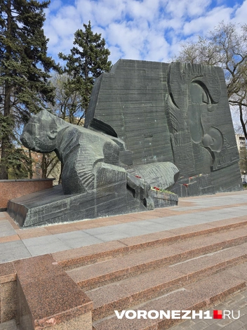 Источник: Ирина Булгакова / Voronezh1.ru