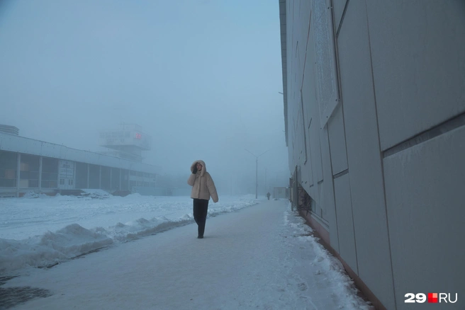 Источник: Иван Митюшёв / 29.RU