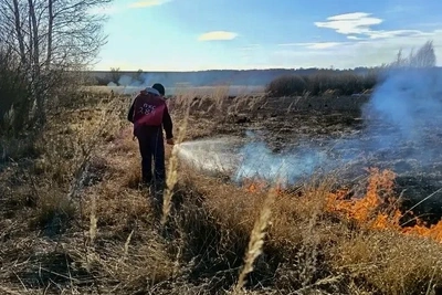 Под Самарой снова горит лес из-за пала травы