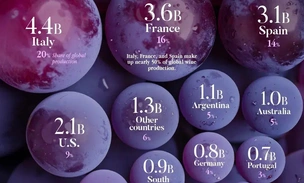 Инфографика: топ-20 стран по объему производства вина