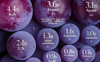 Инфографика: топ-20 стран по объему производства вина
