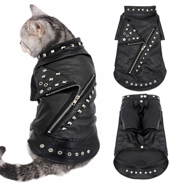 Кожаная куртка для кошек
