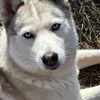 userpic__Лена