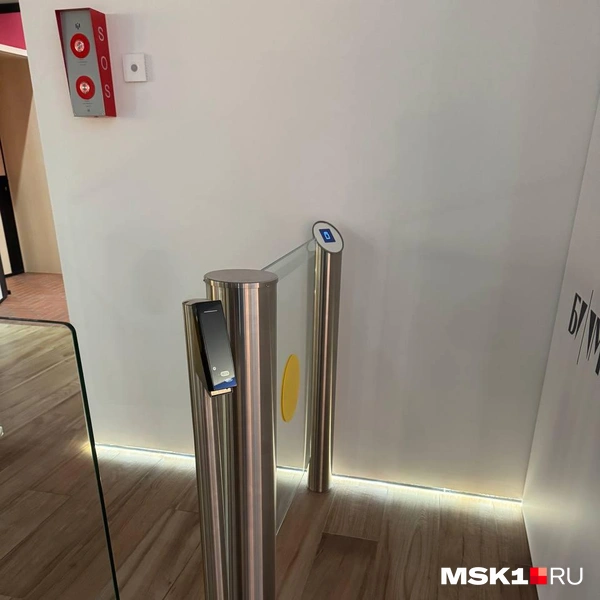 Источник: Арина Майорова / MSK1.RU