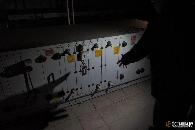 Источник: Михаил Огнев / «Фонтанка.ру»