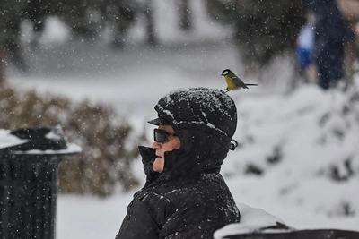 В ХМАО 9 января ожидается мороз до -36 и снегопад