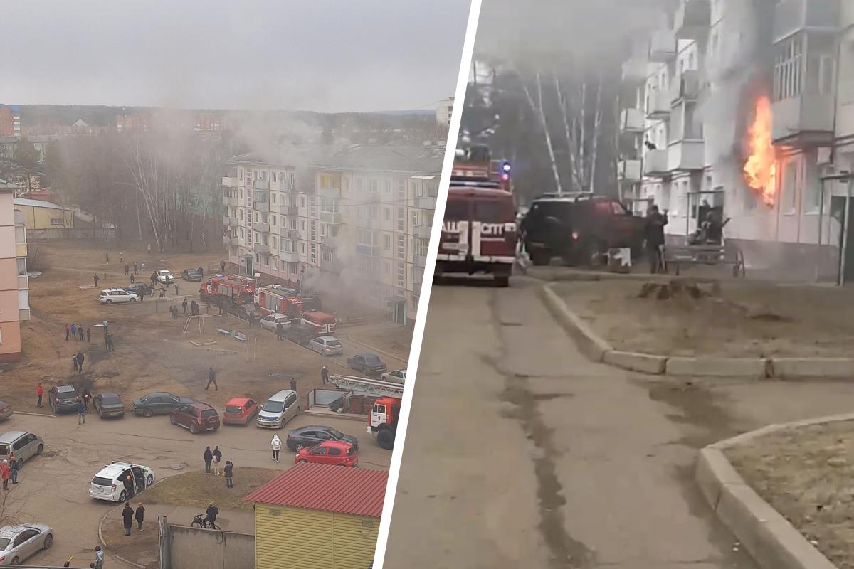 В Зеленогорске Красноярского края при пожаре погибли домашние животные - 28  апреля 2023 - НГС24.ру