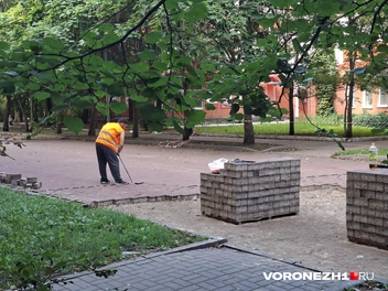 Источник: Алёна Воропаева / Voronezh1.ru