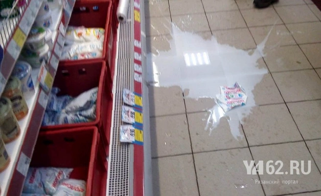 Молоко Барс