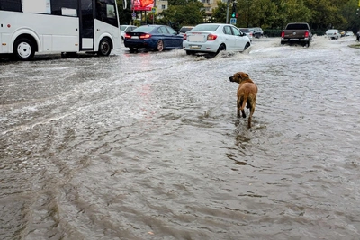 В Сочи из-за паводка на Хероте включили сирены