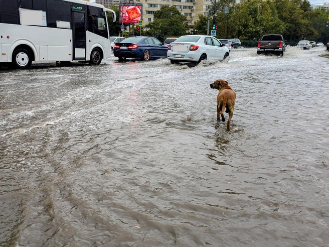 На дорогах образовались лужи