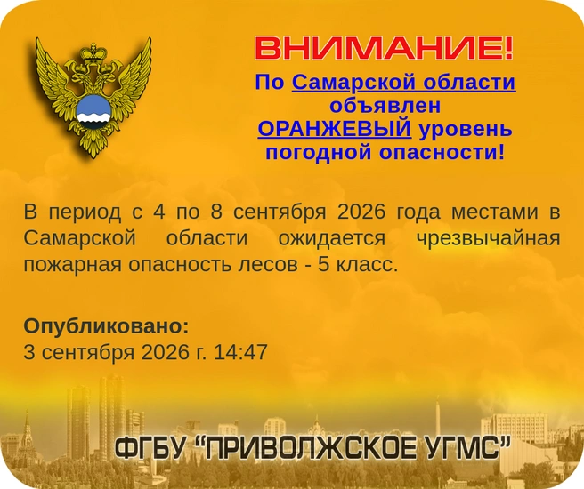 В леса с 4 по 8 сентября запрещено ходить | Источник: Приволжское УГМС