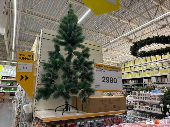 Источник: Ирина Шутько / E1.RU