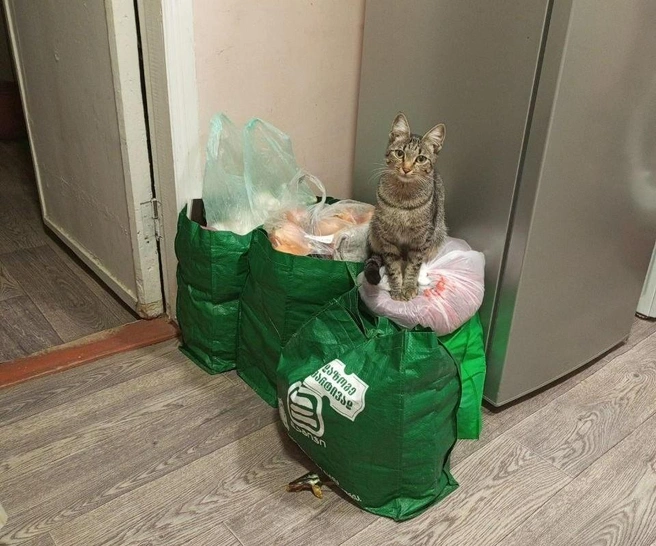 Рубрика «Помощь по дому». Греем продукты | Источник: читатель V1.RU