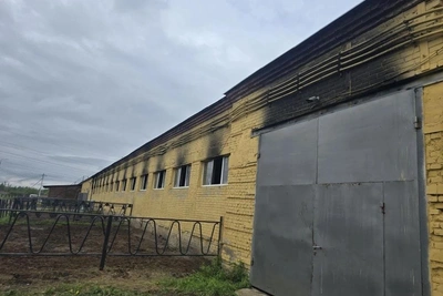 Пожар в Петербурге: 18 лошадей погибли в конюшне