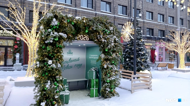 Горожанам предоставлена возможность сфотографироваться на фоне логотипов рекламодателей&nbsp;— выбор в этом году большой | Источник: Стас Соколов / NGS.RU