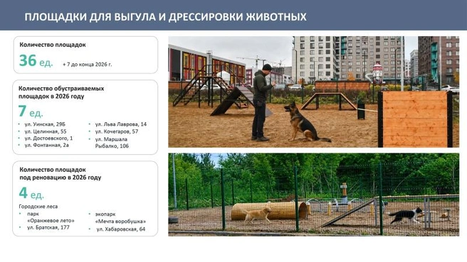 Источник: пресс-служба администрации Перми
