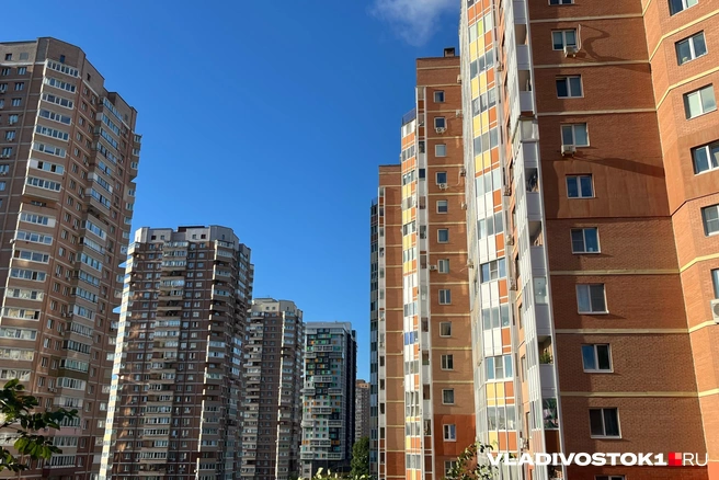 Семьям нужно давать квартиры в соцнаем с правом выкупа | Источник: Елена Буйвол / VLADIVOSTOK1.RU