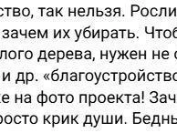 Источник: читатель 161.RU