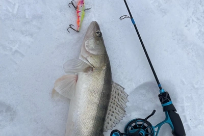 Где ловить рыбу зимой под Тюменью: карта мест