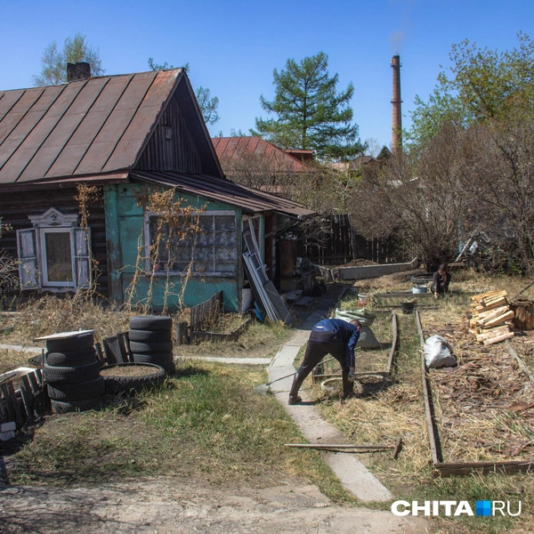 Занимаются огородом | Источник: Руслан Симушин / CHITA.RU