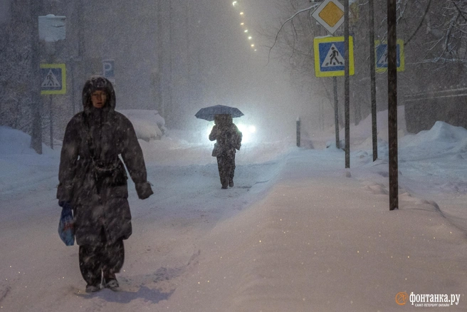 Ну что, дождались снега? | Источник: Михаил Огнев / FONTANKA.RU