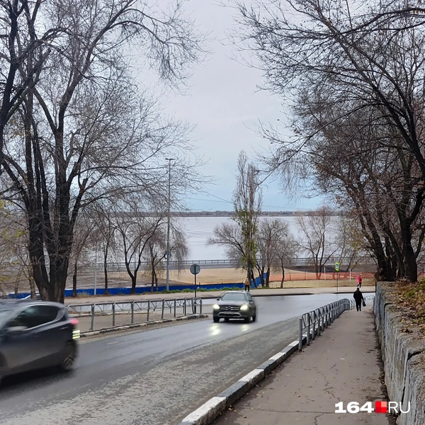 Источник: Сергей Гендин / 164.RU