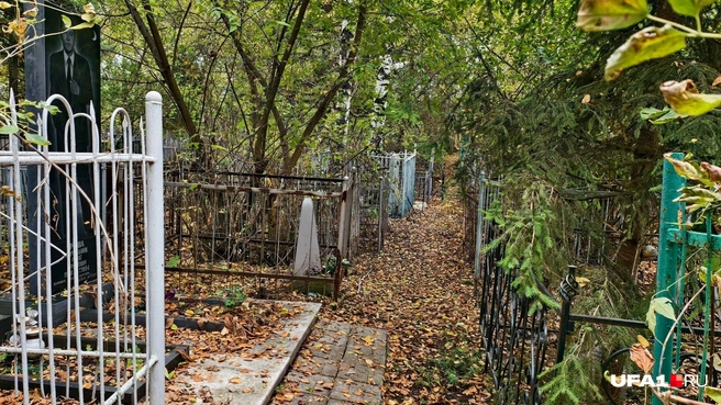 Покоится Реша в окружении легендарных личностей Башкирии | Источник: Булат Салихов / UFA1.RU