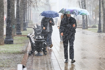 Москву и область накроет снегопад 23 апреля