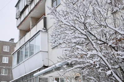 Челябинскую область ждут снегопады и метели