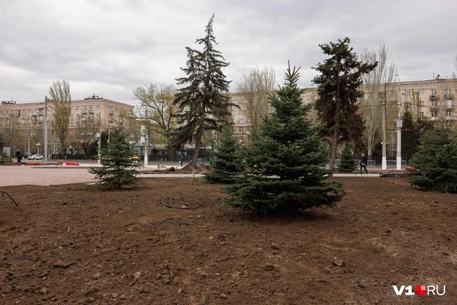 Здесь, похоже, тоже работы еще не закончены | Источник: Алексей Волхонский / V1.RU