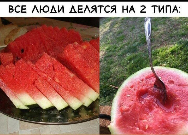 Немного арбузов вам в ленту :-) Здравствуйте, уважаемые, Приятного, времени, суток