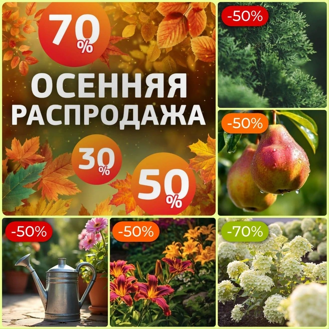  Распродажа в «Исаковском» уже в разгаре | Источник: садовый центр «Исаковский»