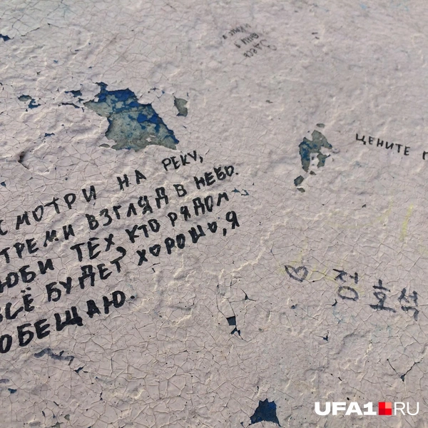 Цените птиц, понятно? | Источник: Андрей Бирюков / UFA1.RU