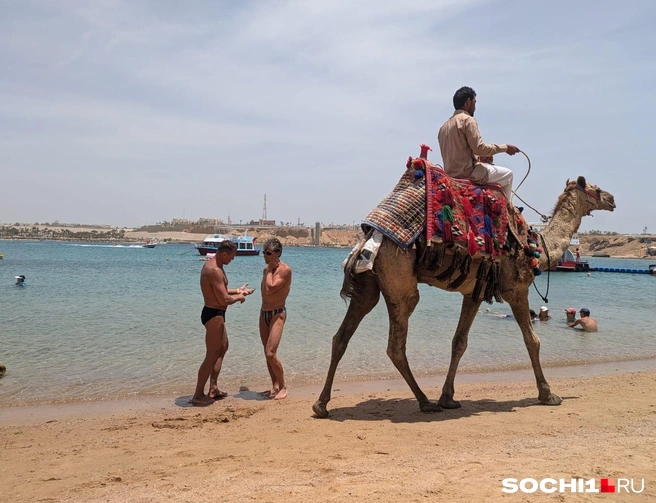 Песчаные пляжи и теплое море Египта привлекает сотни россиян | Источник: Оксана Витязь 