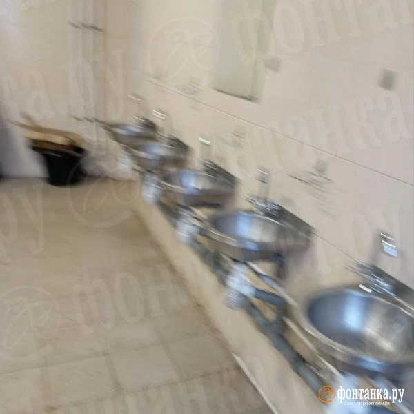 Источник: Владислав Михеев