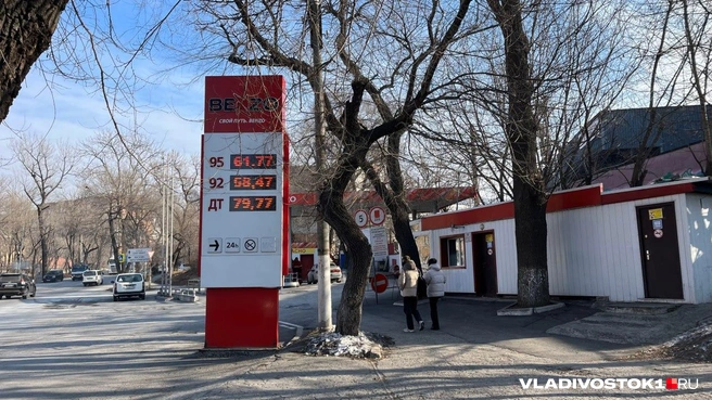 Источник: елена Буйвол / VLADIVOSTOK1.RU